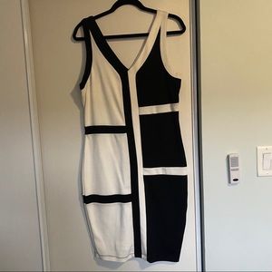 Forever 21 bodycon dress